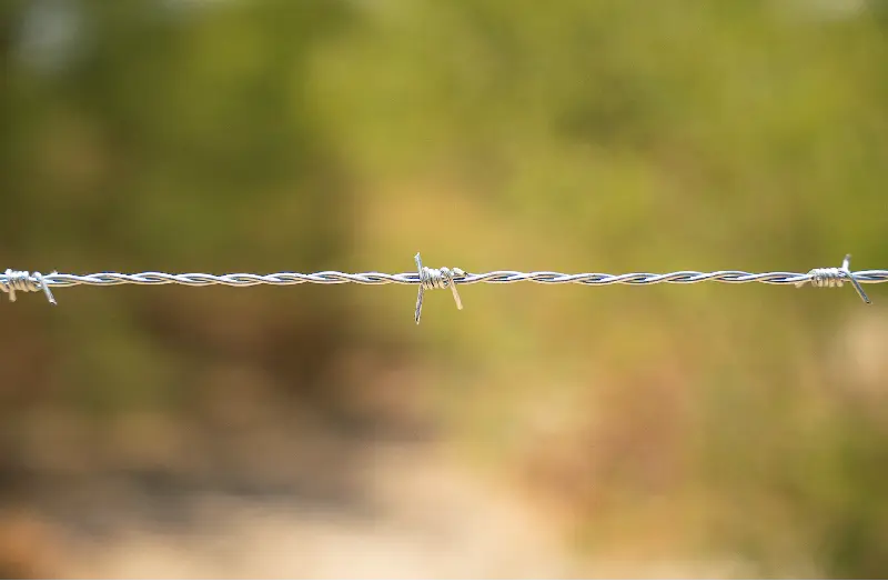 Imagen de alambre de púas